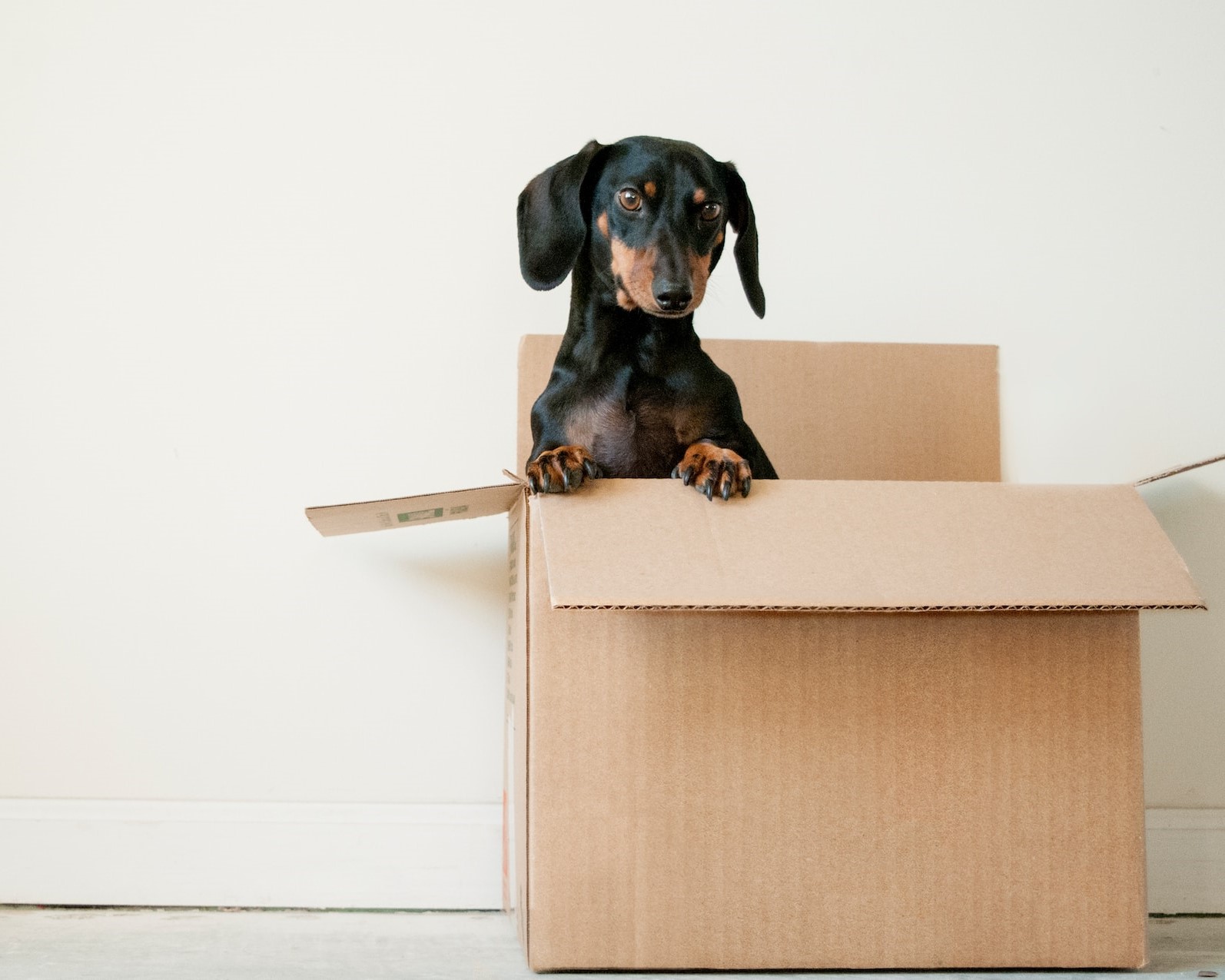 Moving